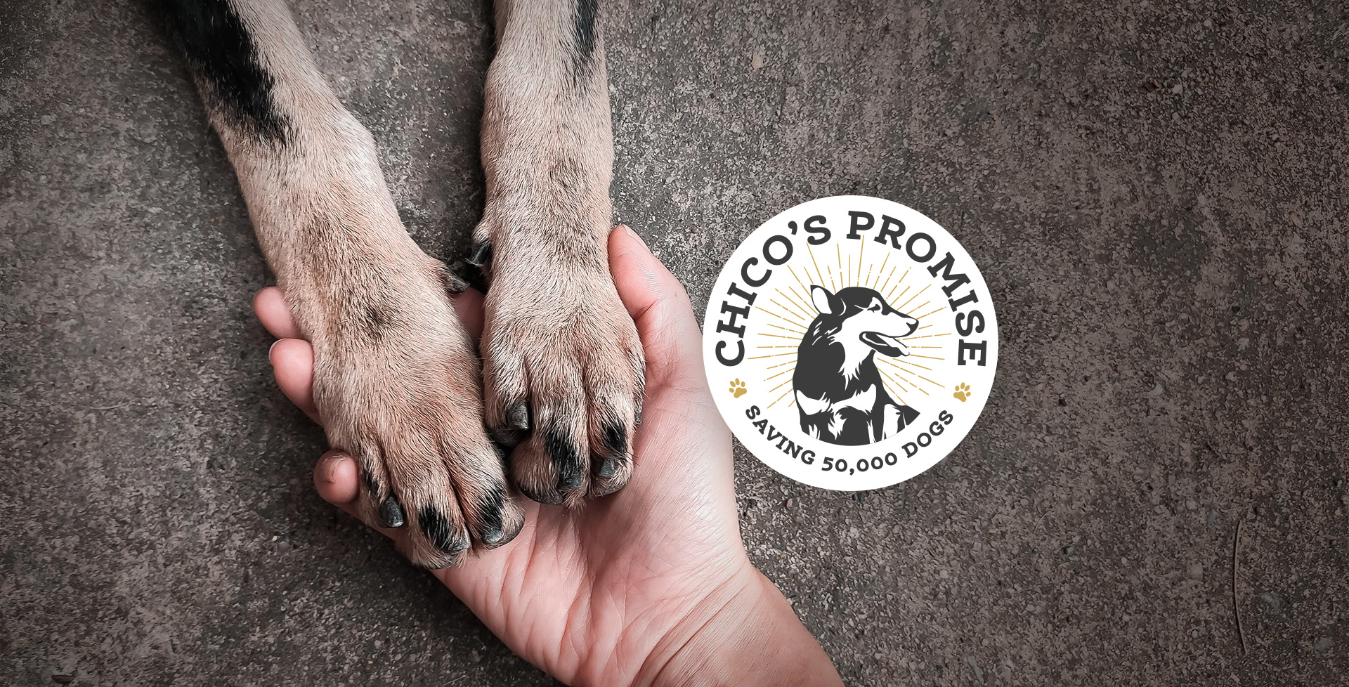 Chico's promise logo