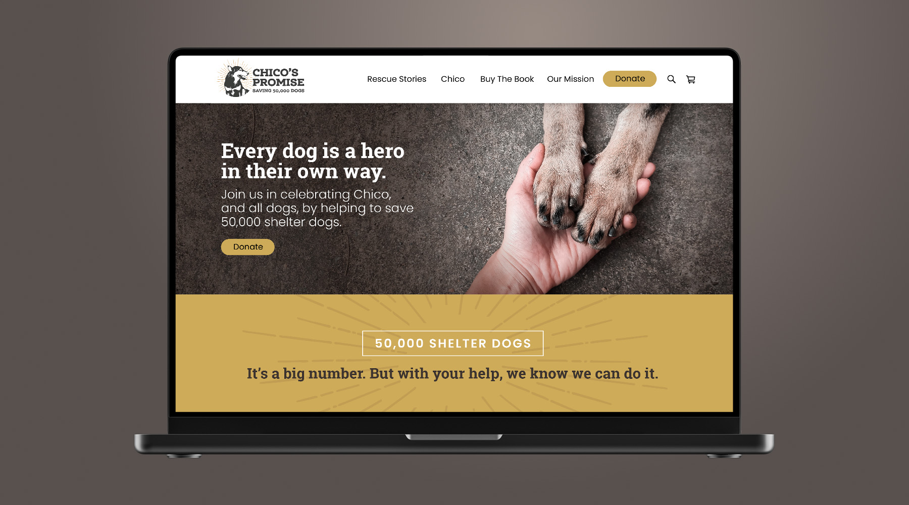 Chico's Promise homepage on a laptop